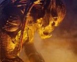 predatorsnew (55)